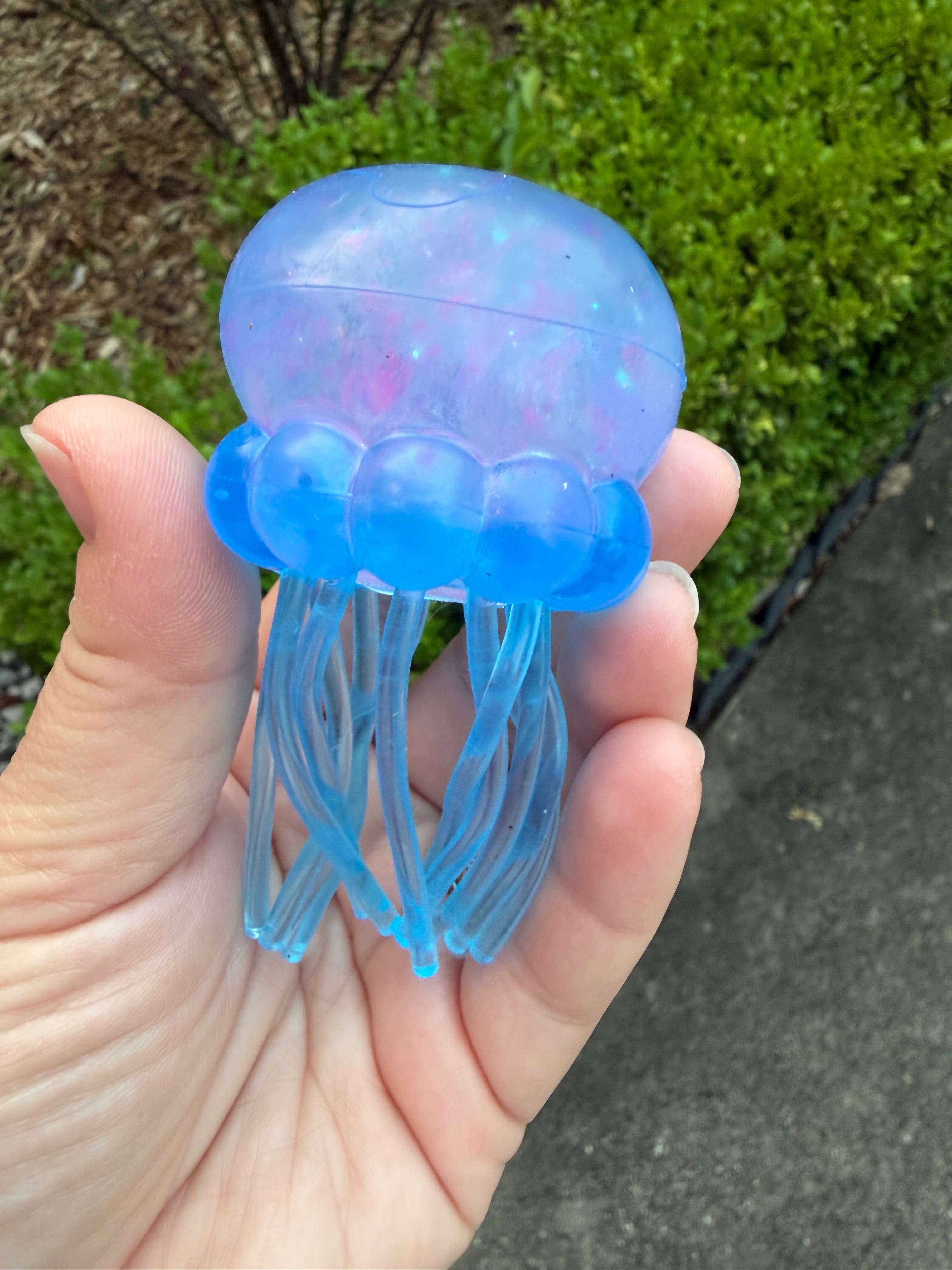 Jellyfish Squish