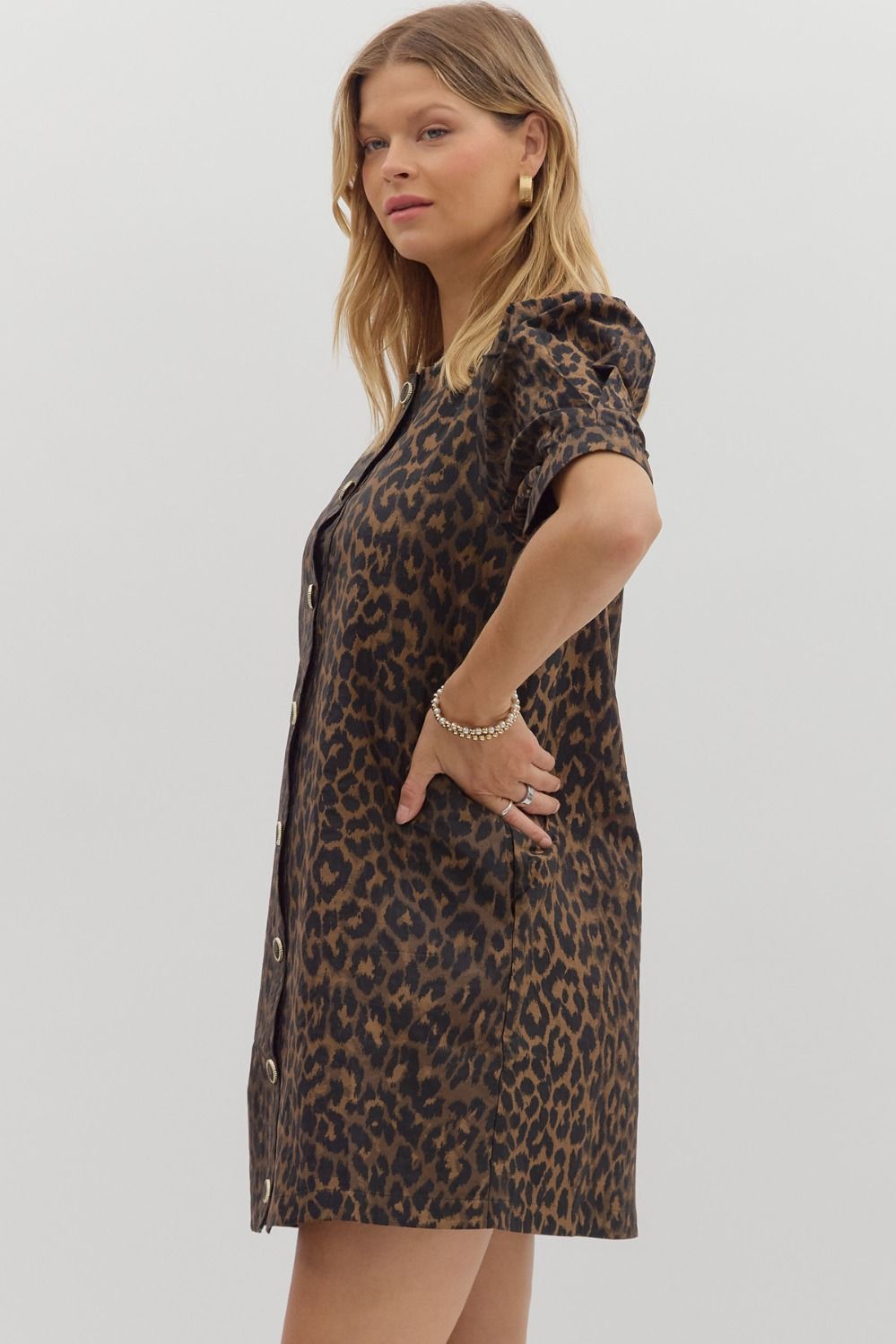 Leopard Chic Dress