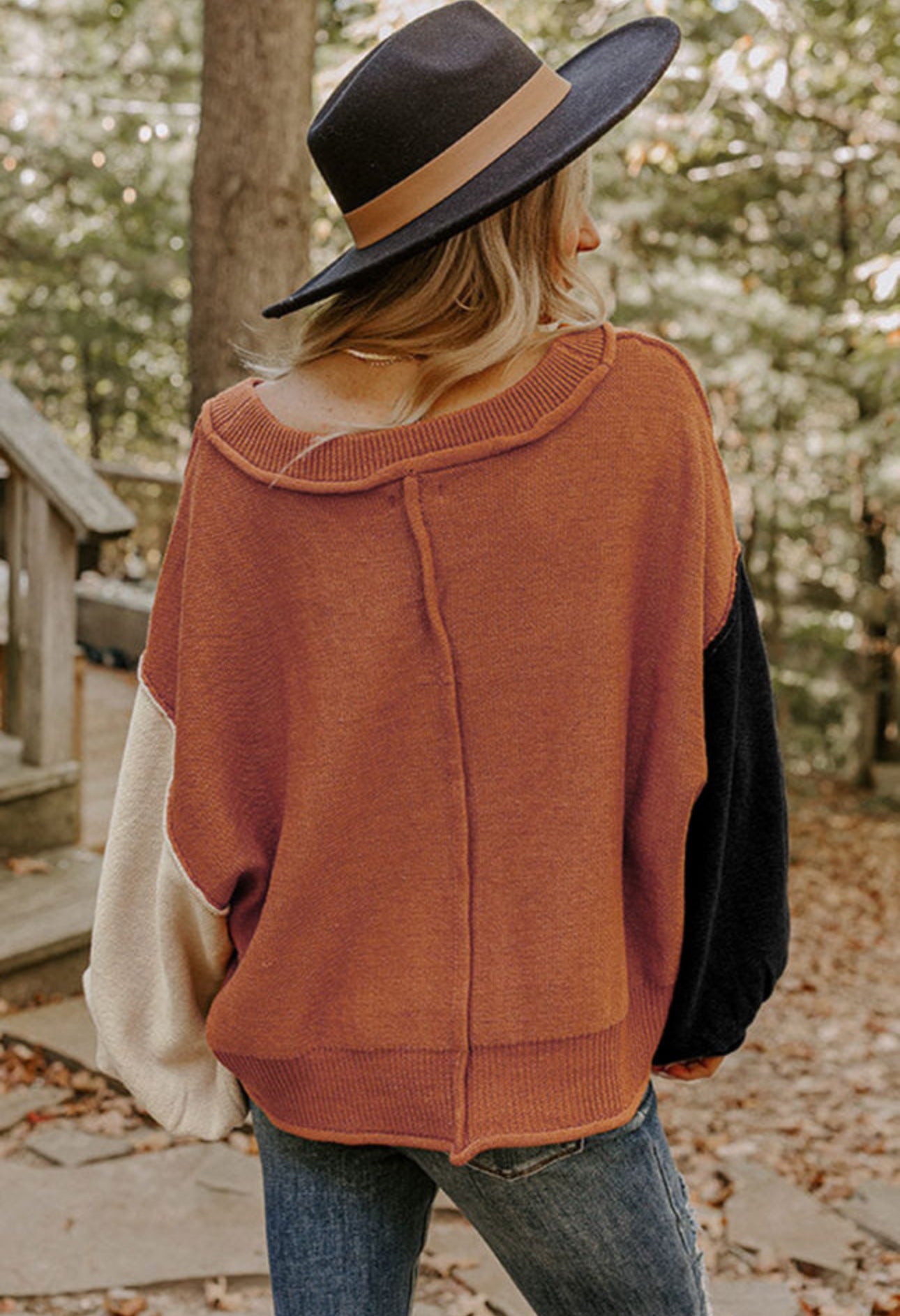 Colorblock Vneck Sweater