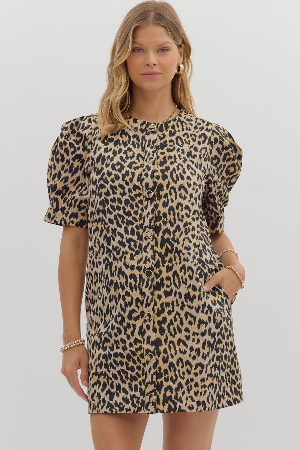 Leopard Chic Dress