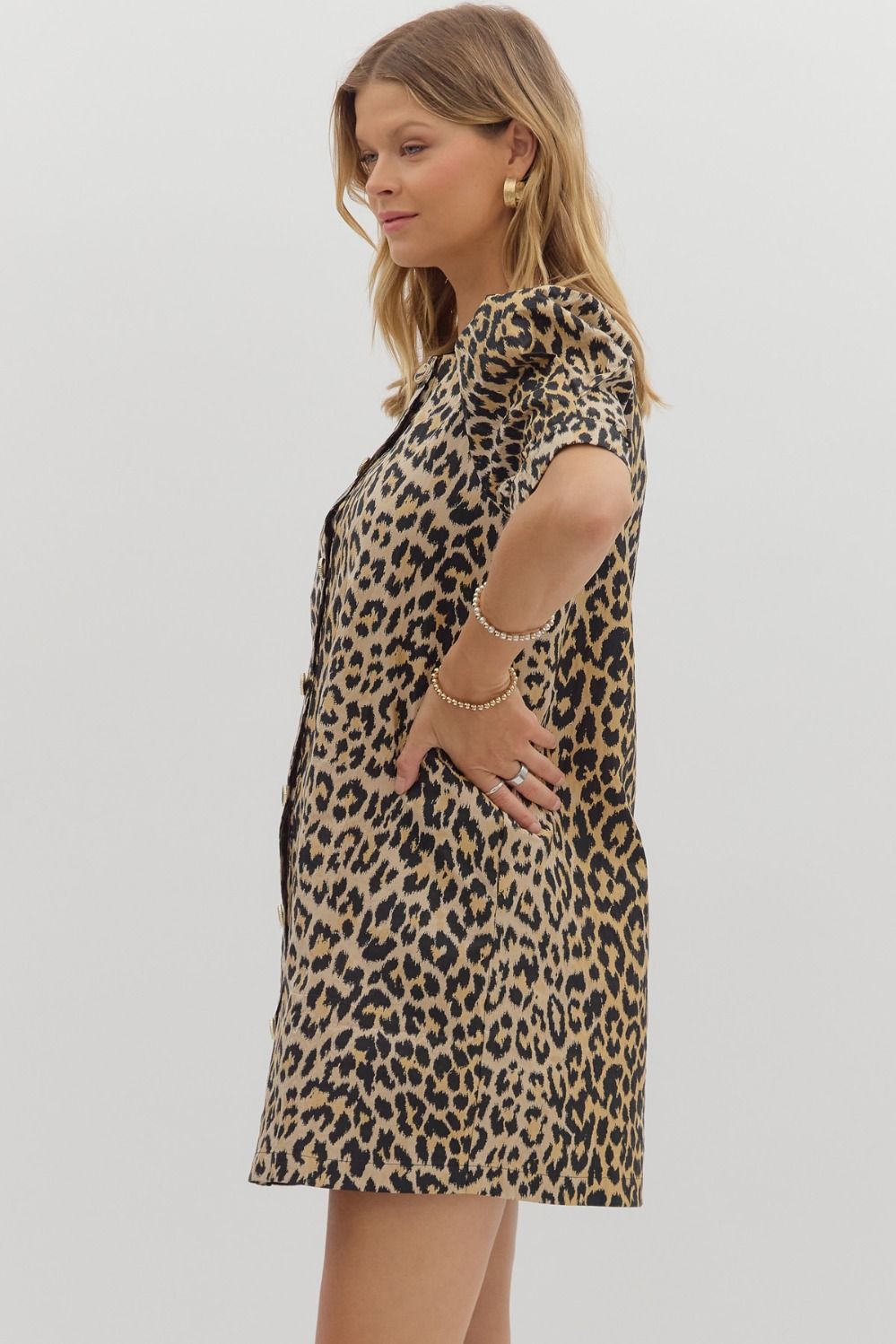 Leopard Chic Dress