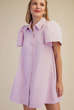 Collared Button Mini Dress