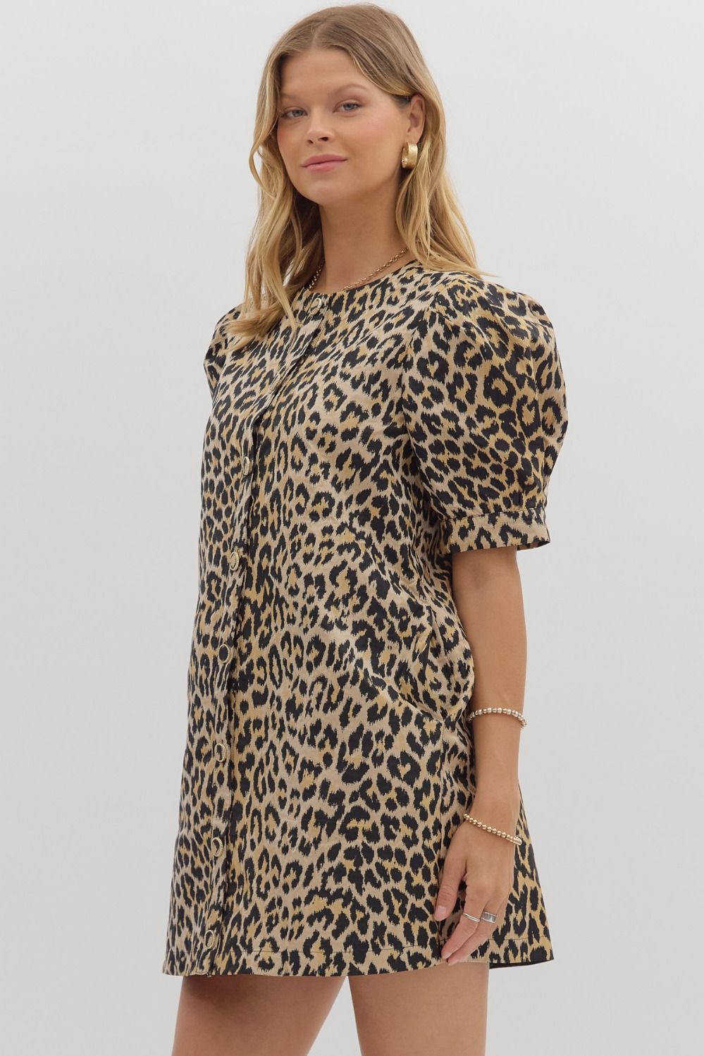 Leopard Chic Dress