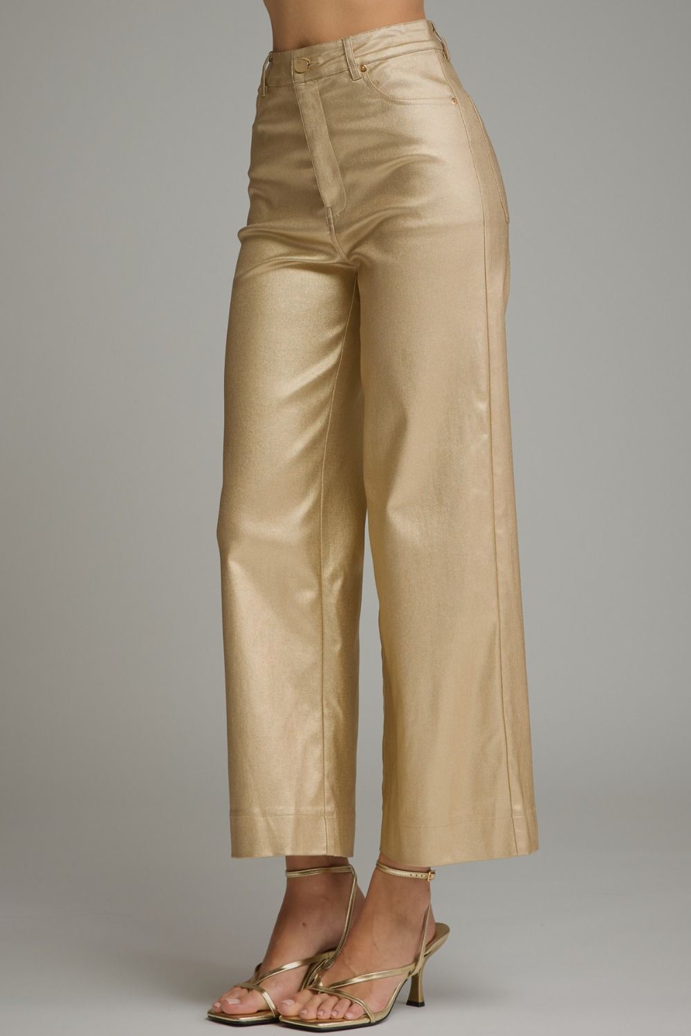 Metallic Wide Leg Pants