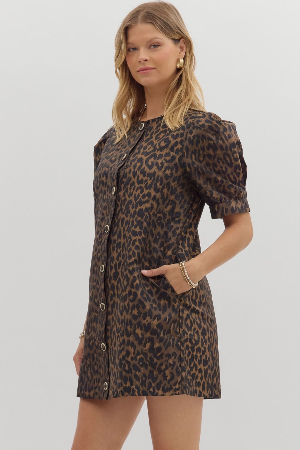 Leopard Chic Dress